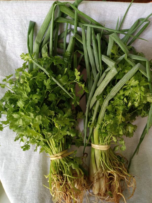Cheiro verde moi