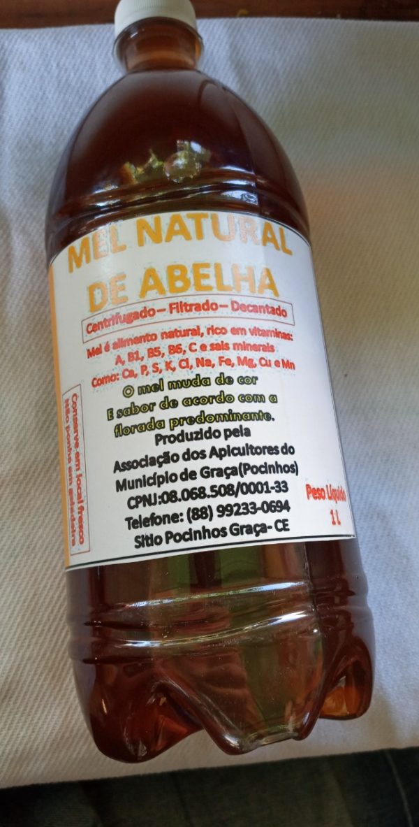 Mel de abelha 1L