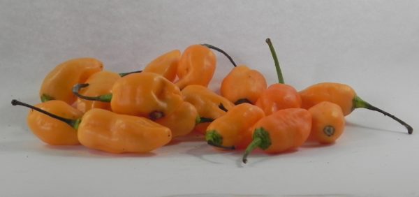 Pimenta de Cheiro pte